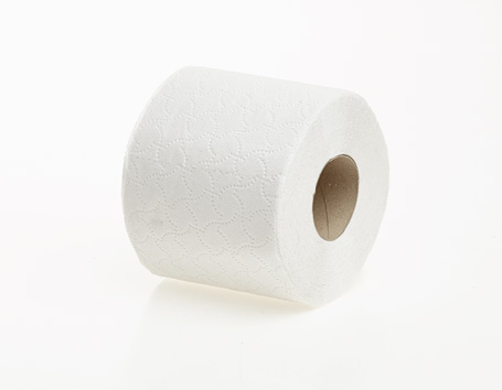 Standard Toilet Roll 2 Ply White 320 Sheets 1 x 36 - Merton Group