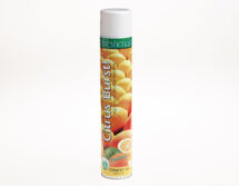 Freshenair Citrus Burst Air Freshener Aerosol 750ml