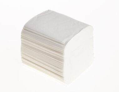 Bulk Pack Toilet Tissue 2 Ply White 250 Sheets 1 x 36