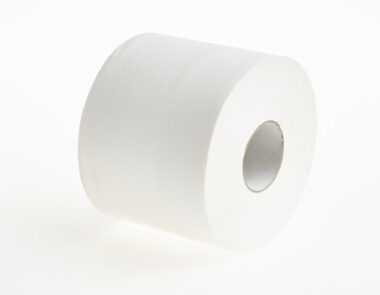 Mini Jumbo Toilet Roll 2 Ply 80M White 1 x 24