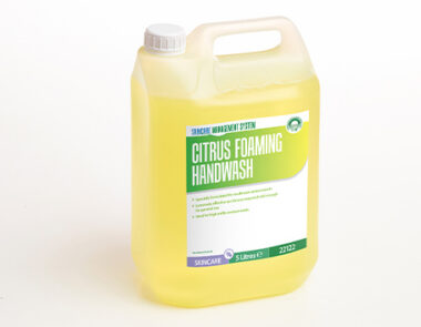 Citrus Foaming Handwash 5L 1 x 2